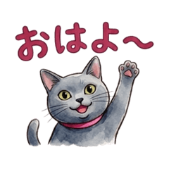 Chartreux Pasha & Peri Stickers