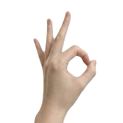 Many many hand sign
