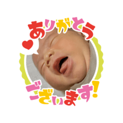 yuki_20260509122853