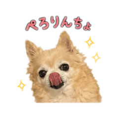 NANAMI_20260509122914