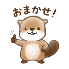 maruchoco_20260510033656