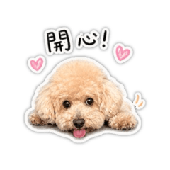Q寶wuqq