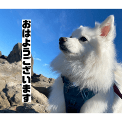 tako_20260428000056
