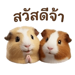 Jaifu&Gong
