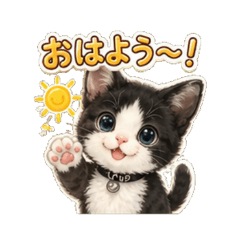 Cats - Daily Chat Stickers1