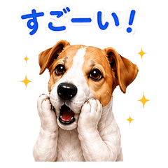 Love from a Jack Russell Terrier