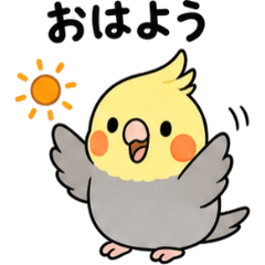 Pote Piyo Cockatiel Daily Words