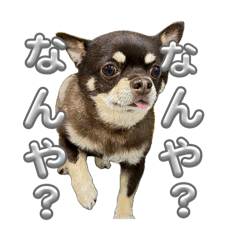 takeshi_20260509124023