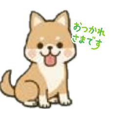 koinusan_20260509123317