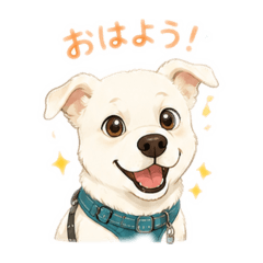 Y.kyoko_20260509124136