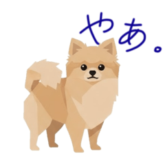 toffee_20260509124502