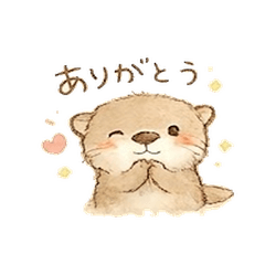 Cute Otter Kuuchan