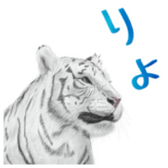 Marginimal: Hand-drawn Zoo