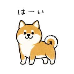Funny Sketchy Mameshiba Stickers