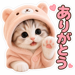 Nomao Cute Kitten Stickers