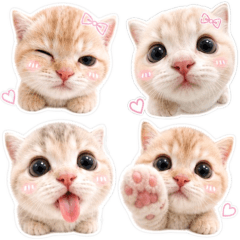 Cute animal Sticker.04
