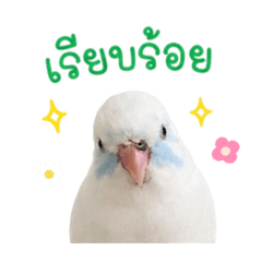 ForpusLove v.1