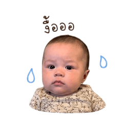 Kataw_20260428162220