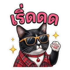 Cat a Charcoal Big Sticker 1