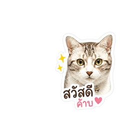 Khaokua