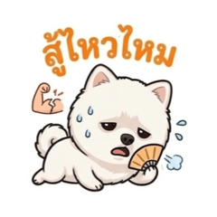 Wila_20260503123703