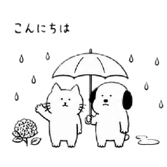 kumakosan_20260506140643