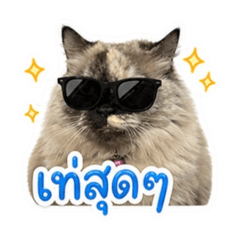 UaiPatcha_20260503221922