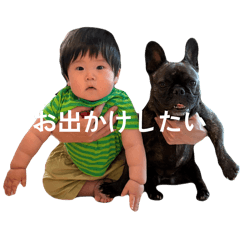 wasabi_20260509130704