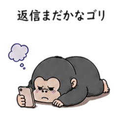 PON_20260509130457