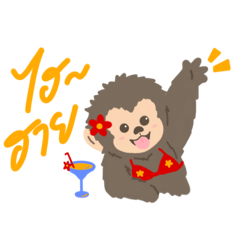 Capuchin Makes Me Smiilee