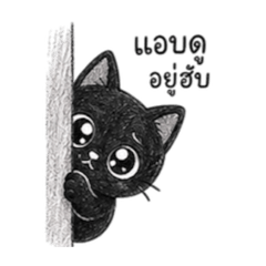 Tiny black cattt