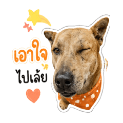 Wiggly Doggo Gang