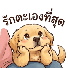 Golden Retriever Little