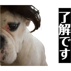 Metaboxer Lily_20260509130228