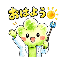 miyama-
