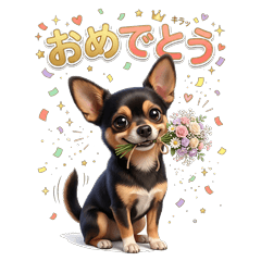Black Mix Dog Daily Chat