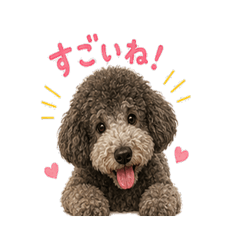 Fluffy Poodle Compliment Stickers