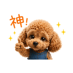 Oshi Poodle