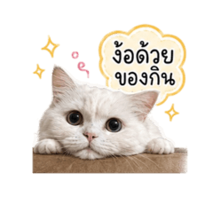 nathananbell_20260510163545