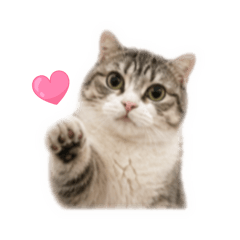 Mai Daily Sticker