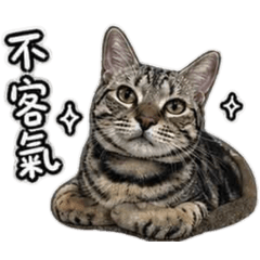 小滿月話癆篇