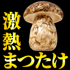 gekiatsumatsutake