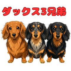 Three Doxie Brothers