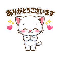 Daily Use! White Cat Casual & Polite