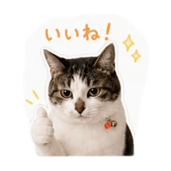 Haha_20260509130706