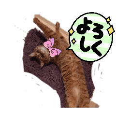 Deesuke_20260509131030