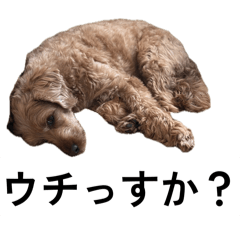 oguchi_20260509131056
