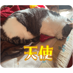Kotetu_20260509130828