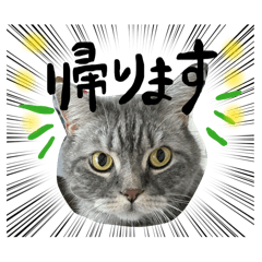 mugita_20260509131945