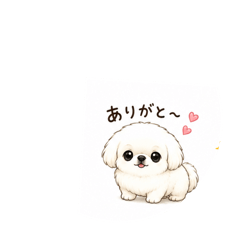 Y.Hsan_20260509133108